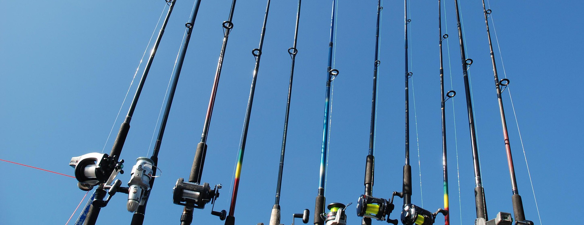 Fishing Gear Store -Fishing Gear Store a fishing rod 525394 1920