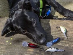 Strike King Pro Model 3XD -Fishing Gear Store bonus