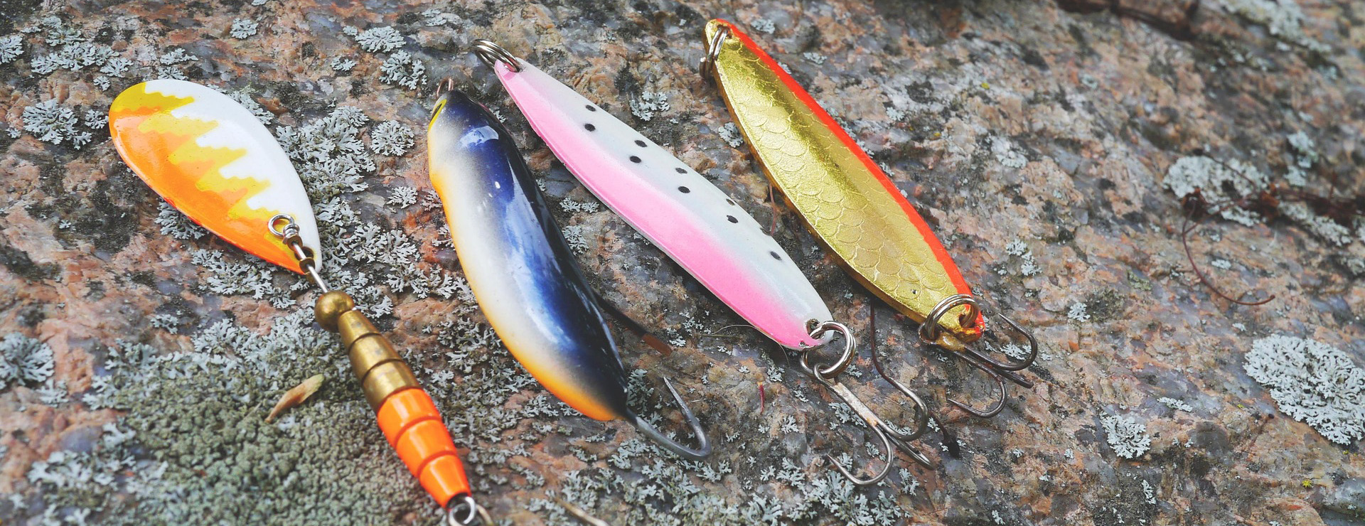 Fishing Gear Store -Fishing Gear Store fishing 887516 1920