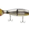 Googan Squad Limited Edition Jekyll Contender -Fishing Gear Store googansquad bonebellycarp contender 10 01 ggs 10016j