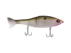 Googan Squad Rival -Fishing Gear Store googansquad gizzardshad rival 10 01 ggs 10021a