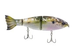 Googan Squad Limited Edition Jekyll Contender -Fishing Gear Store googansquad shimmershad contender 10 01 ggs 10016h
