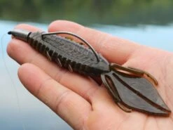 X Zone Lures Pro Series Adrenaline Bug -Fishing Gear Store lifestyle adrenaline andrewnordbye 01