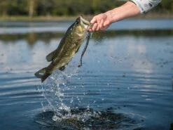 Googan Baits Blazin' Worm -Fishing Gear Store lifestyle blazinworm googanbaits bt6a4961