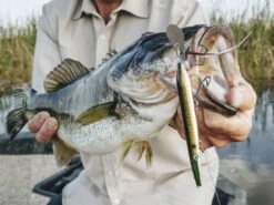 Z-Man Hellraizer -Fishing Gear Store lifestyle hellraizer zman fishmouth 1