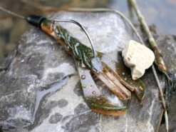 Karl's Amazing Baits Hoss Craw 3.8" 7 Karl's Amazing Baits Hoss Craw 3.8" -Fishing Gear Store lifestyle hosscraw andrewnordbye 02