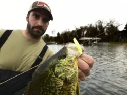 Z-Man Micro TRD 11 Z-Man Micro TRD -Fishing Gear Store lifestyle microtrd zman glowchartreuse 1