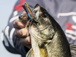 Z-Man Midwest Finesse Swim Jig -Fishing Gear Store lifestyle midwestfinesseswimjig zman bluegill 2