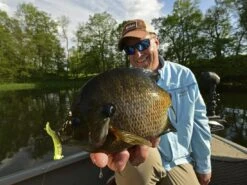 Z-Man Tiny Ticklerz 15 Z-Man Tiny Ticklerz -Fishing Gear Store lifestyle tinyticklerz zman fishhand 1