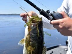 Fitzgerald Fishing VLD 10 Baitcasting Reel -Fishing Gear Store vldlifestyle